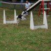 foire-haricots 2011-09-17et18